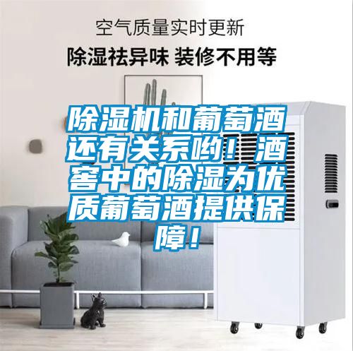 除濕機和葡萄酒還有關系喲!酒窖中的除濕為優質葡萄酒提供保障!