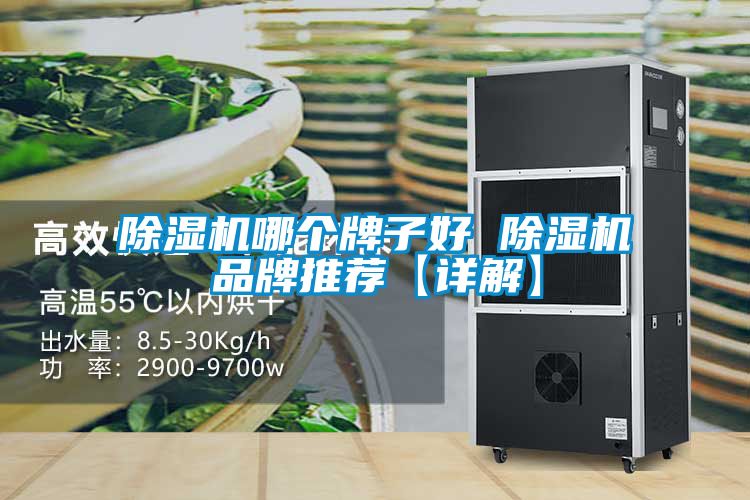 除濕機哪個牌子好 除濕機品牌推薦【詳解】