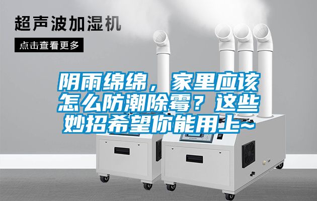 陰雨綿綿,家里應該怎么防潮除霉?這些妙招希望你能用上~