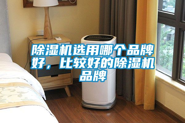 除濕機選用哪個品牌好，比較好的除濕機品牌