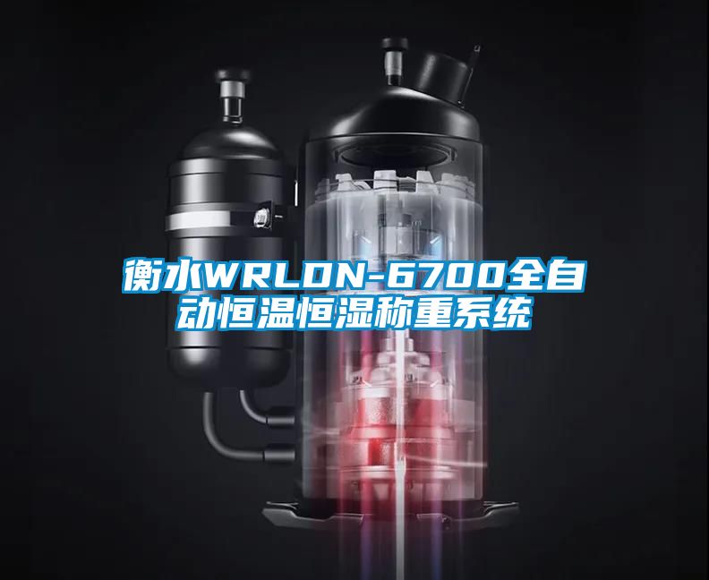 衡水WRLDN-6700全自動恒溫恒濕稱重系統
