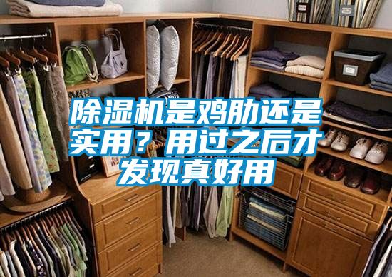 除濕機(jī)是雞肋還是實(shí)用?用過之后才發(fā)現(xiàn)真好用