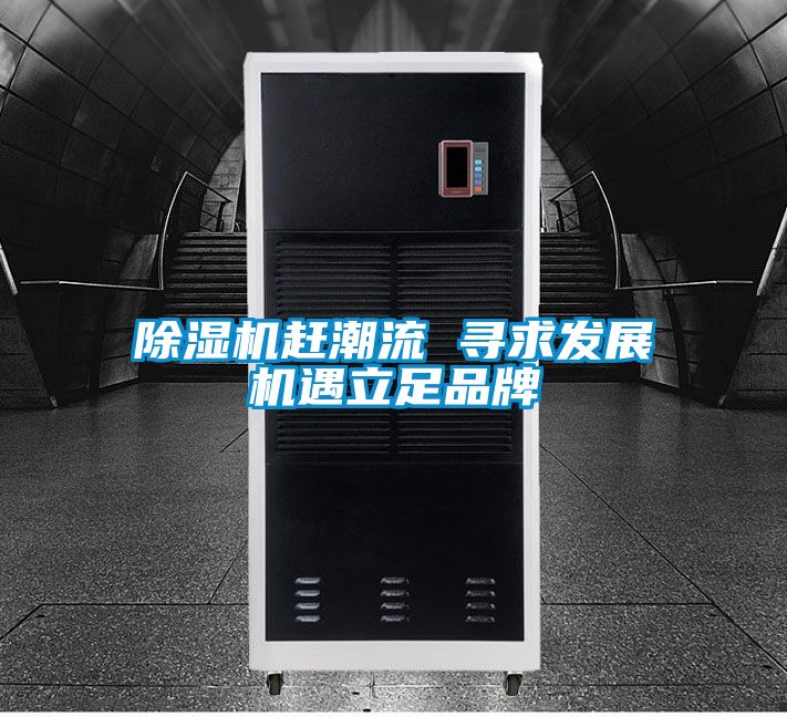 除濕機趕潮流 尋求發展機遇立足品牌