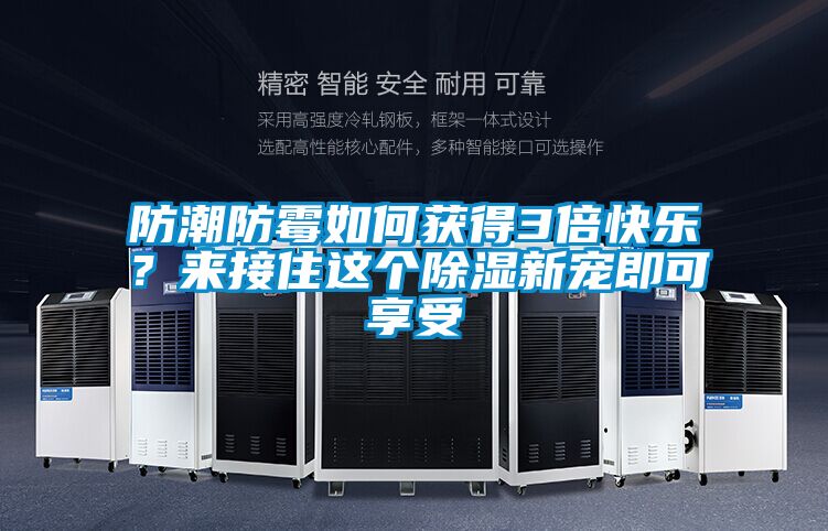 防潮防霉如何獲得3倍快樂？來接住這個除濕新寵即可享受