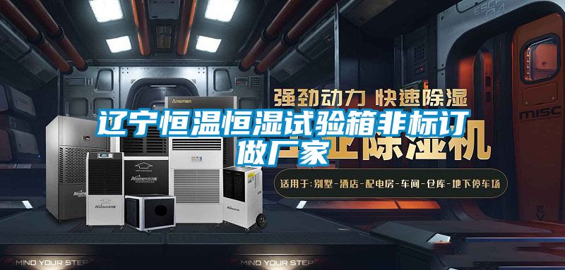 遼寧恒溫恒濕試驗箱非標訂做廠家