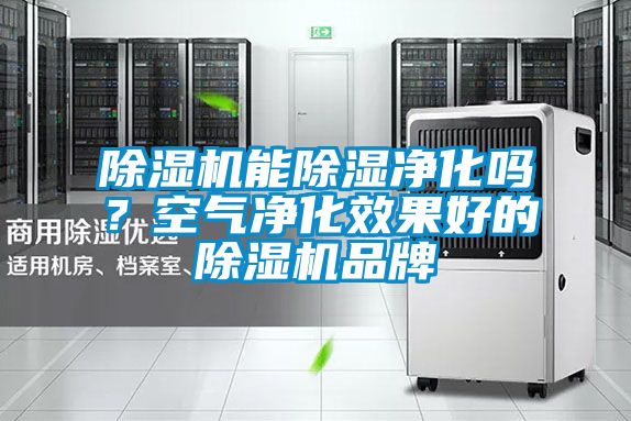 除濕機能除濕凈化嗎？空氣凈化效果好的除濕機品牌