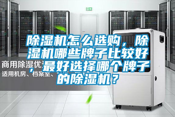 除濕機(jī)怎么選購,除濕機(jī)哪些牌子比較好,最好選擇哪個(gè)牌子的除濕機(jī)?