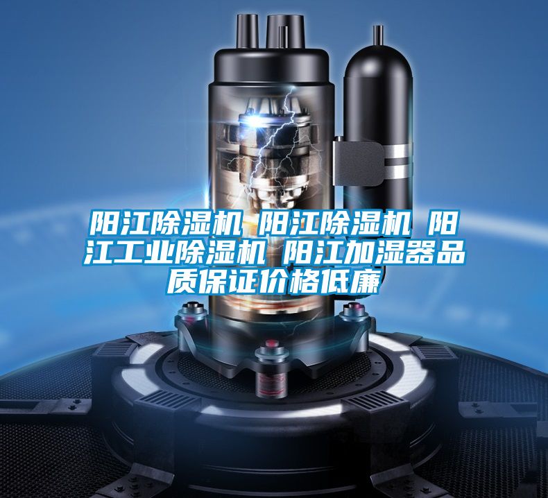 陽江除濕機☆陽江除濕機☆陽江工業(yè)除濕機☆陽江加濕器品質(zhì)保證價格低廉