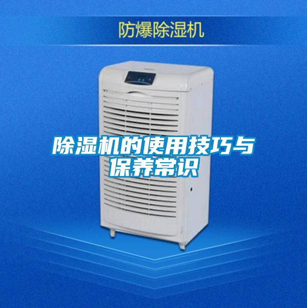 除濕機的使用技巧與保養常識