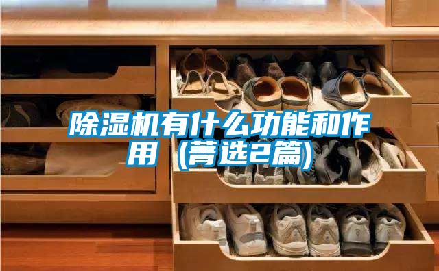 除濕機有什么功能和作用 (菁選2篇)
