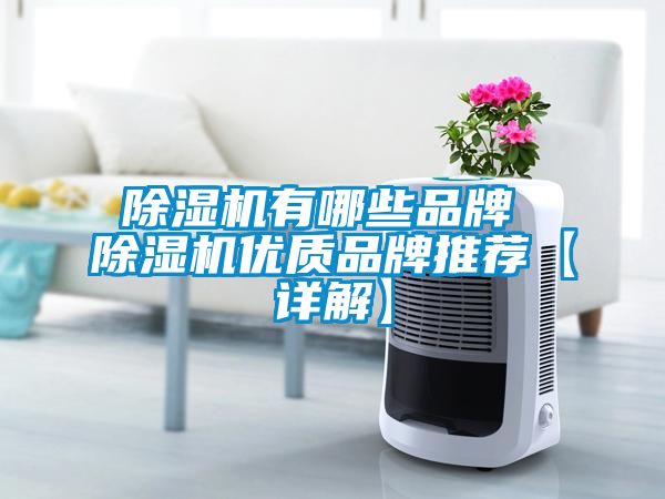 除濕機有哪些品牌 除濕機優質品牌推薦【詳解】