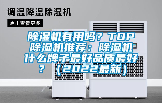 除濕機有用嗎?TOP除濕機推薦:除濕機什么牌子最好品質最好?(2022最新)