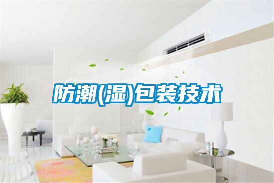 防潮(濕)包裝技術