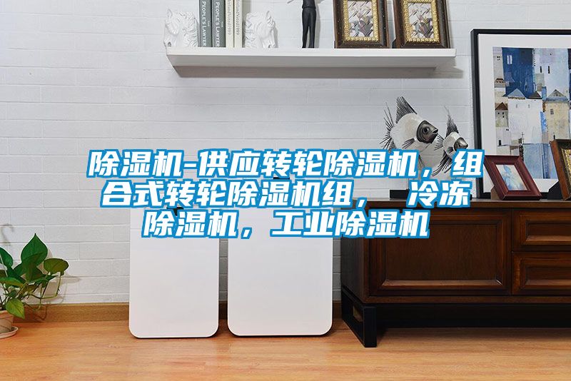 除濕機-供應轉輪除濕機,組合式轉輪除濕機組, 冷凍除濕機,工業除濕機
