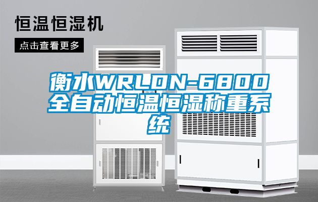 衡水WRLDN-6800全自動恒溫恒濕稱重系統
