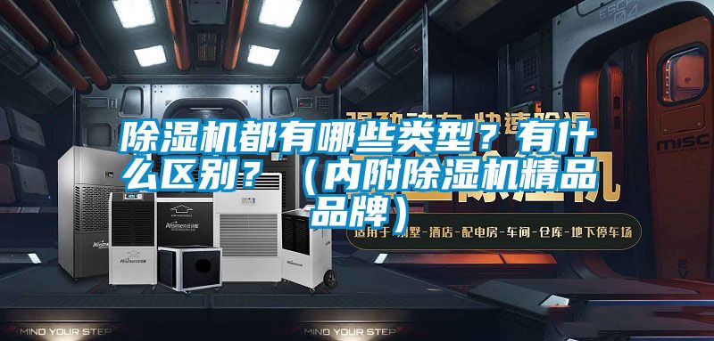除濕機都有哪些類型？有什么區別？（內附除濕機精品品牌）