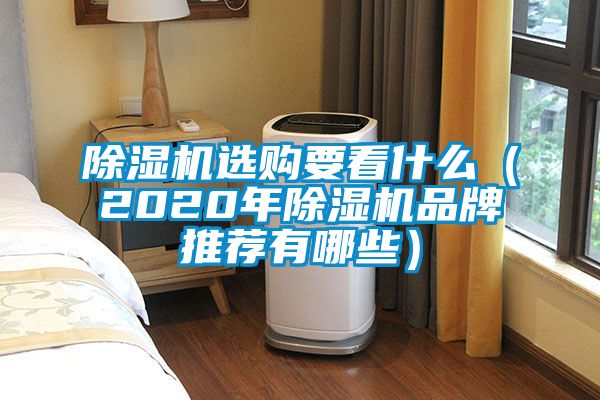除濕機選購要看什么(2020年除濕機品牌推薦有哪些)