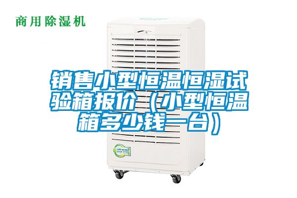 銷售小型恒溫恒濕試驗(yàn)箱報(bào)價(jià)(小型恒溫箱多少錢一臺(tái))