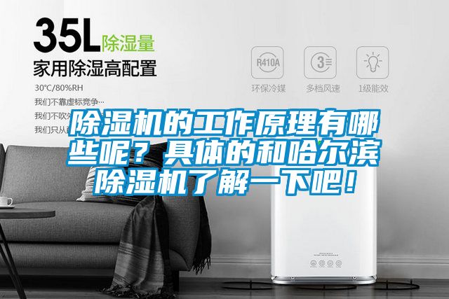 除濕機的工作原理有哪些呢？具體的和哈爾濱除濕機了解一下吧！