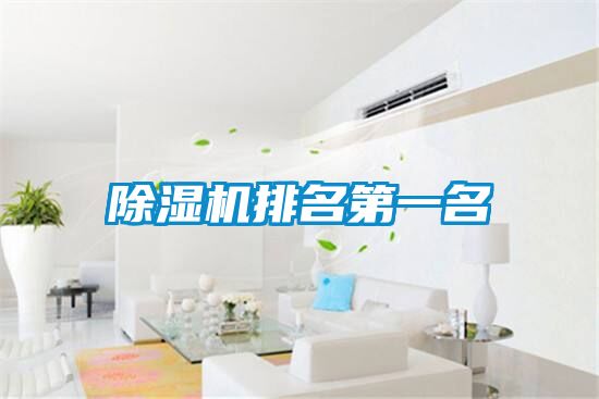 除濕機排名第一名