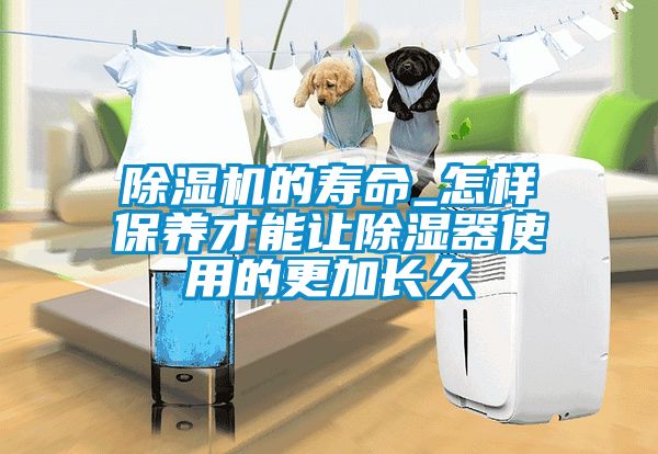 除濕機的壽命_怎樣保養才能讓除濕器使用的更加長久
