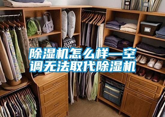 除濕機怎么樣—空調無法取代除濕機