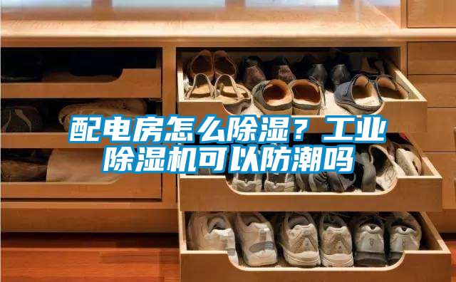 配電房怎么除濕?工業(yè)除濕機可以防潮嗎