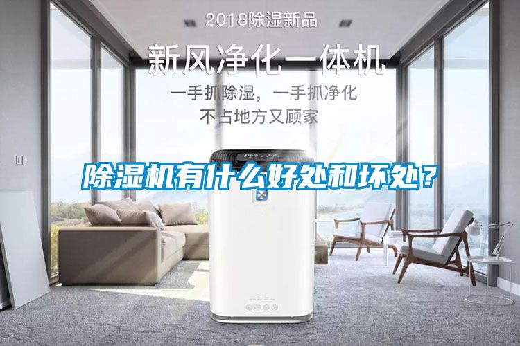 除濕機有什么好處和壞處?