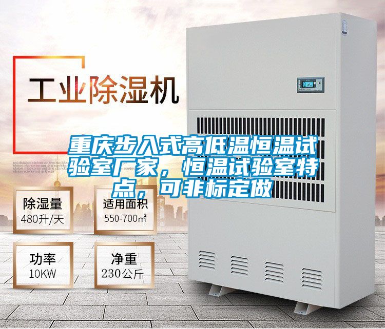 重慶步入式高低溫恒溫試驗室廠家,恒溫試驗室特點,可非標定做