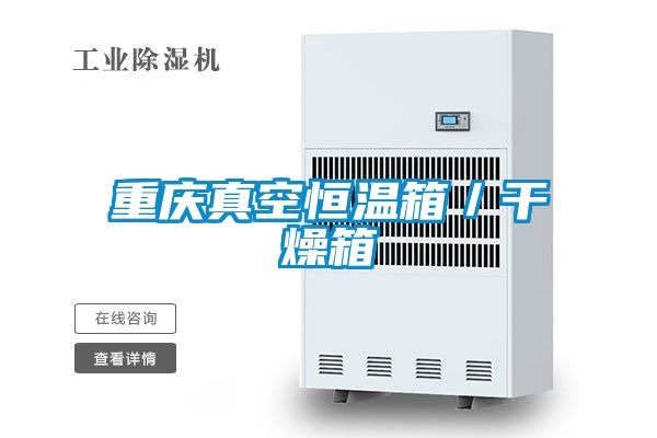 重慶真空恒溫箱/干燥箱