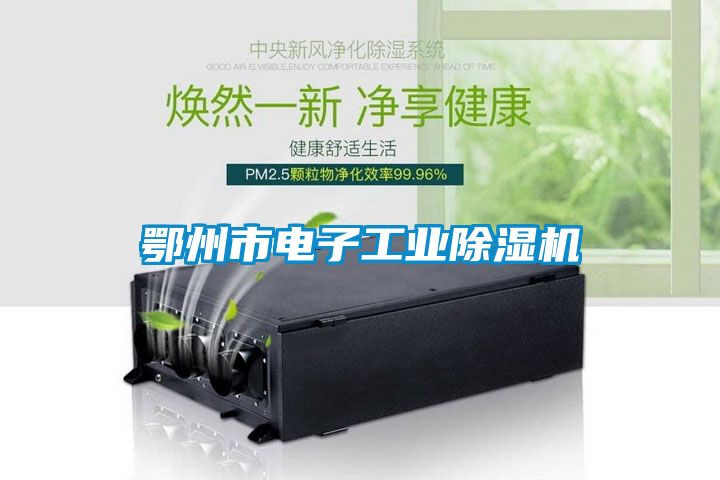 鄂州市電子工業除濕機