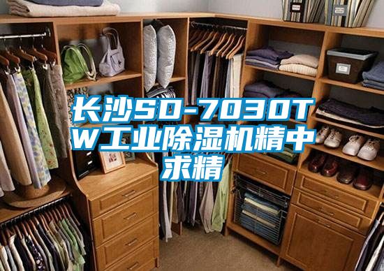 長沙SD-7030TW工業除濕機精中求精