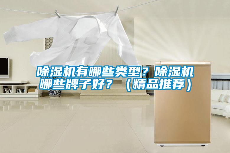 除濕機(jī)有哪些類(lèi)型？除濕機(jī)哪些牌子好？（精品推薦）