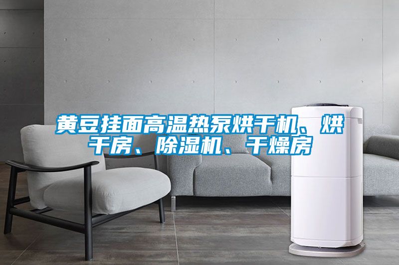 黃豆掛面高溫熱泵烘干機、烘干房、除濕機、干燥房