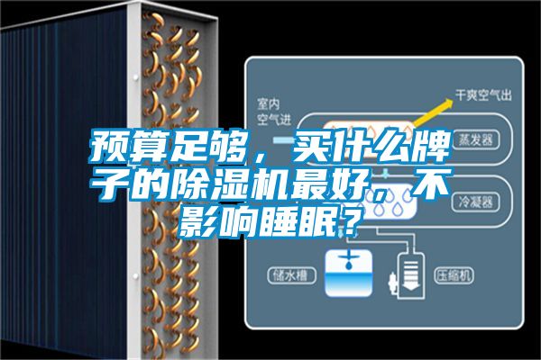 預算足夠,買什么牌子的除濕機最好,不影響睡眠?