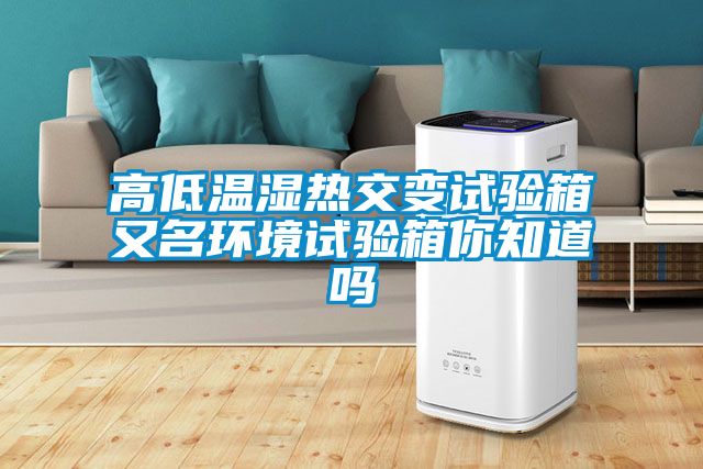 高低溫濕熱交變試驗(yàn)箱又名環(huán)境試驗(yàn)箱你知道嗎