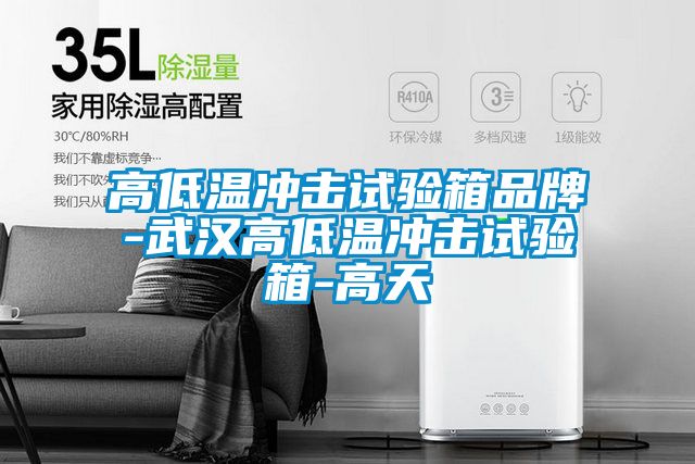 高低溫沖擊試驗箱品牌-武漢高低溫沖擊試驗箱-高天