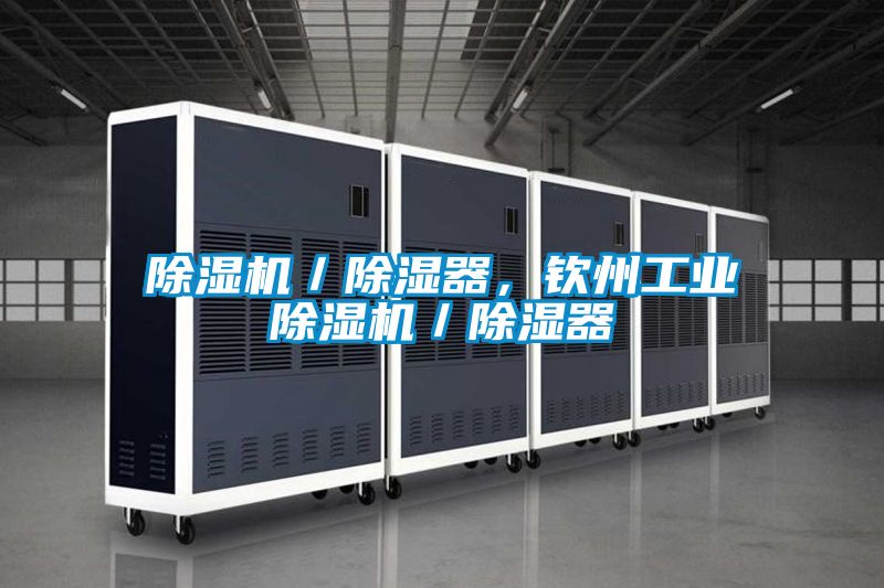 除濕機/除濕器,欽州工業除濕機/除濕器