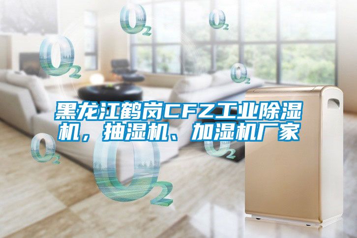 黑龍江鶴崗CFZ工業(yè)除濕機(jī),抽濕機(jī)、加濕機(jī)廠家