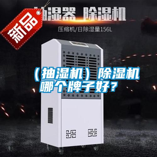 (抽濕機)除濕機哪個牌子好?