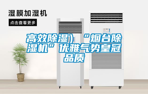 高效除濕)“煙臺除濕機”優雅氣勢皇冠品質