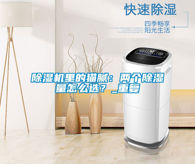 除濕機里的貓膩：兩個除濕量怎么選？_重復
