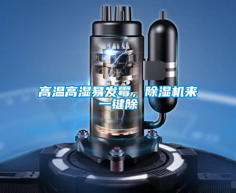 高溫高濕易發霉，除濕機來一鍵除