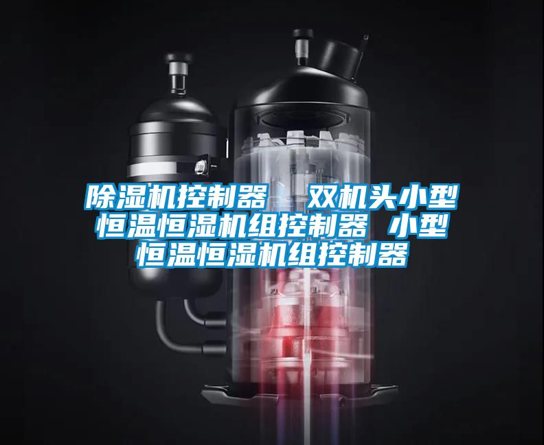除濕機(jī)控制器 雙機(jī)頭小型恒溫恒濕機(jī)組控制器 小型恒溫恒濕機(jī)組控制器