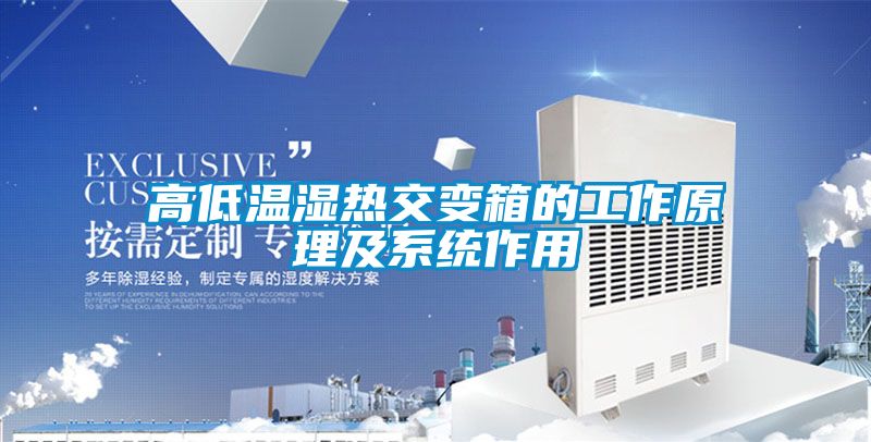 高低溫濕熱交變箱的工作原理及系統作用