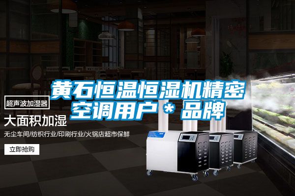 黃石恒溫恒濕機精密空調用戶*品牌