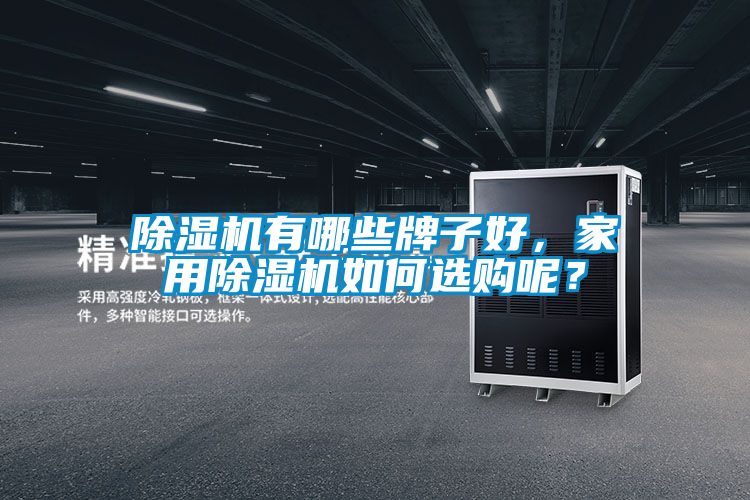 除濕機有哪些牌子好，家用除濕機如何選購呢？