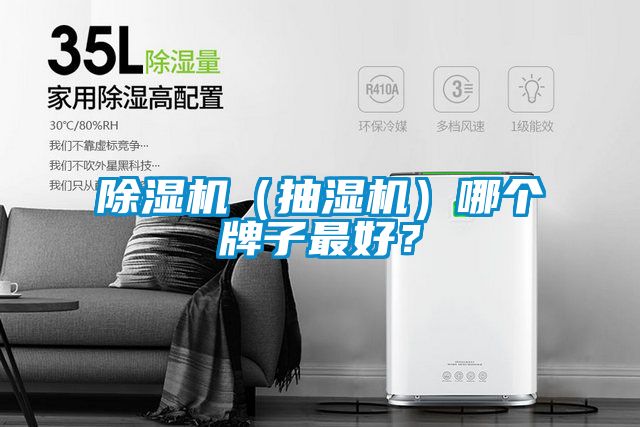 除濕機(jī)(抽濕機(jī))哪個(gè)牌子最好?