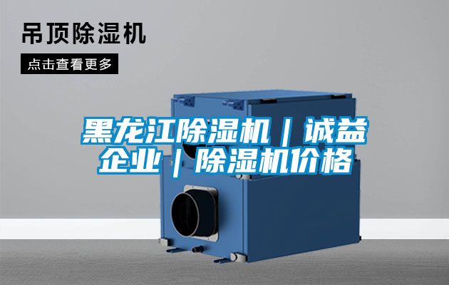 黑龍江除濕機|誠益企業|除濕機價格