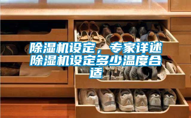 除濕機設定,專家詳述除濕機設定多少溫度合適